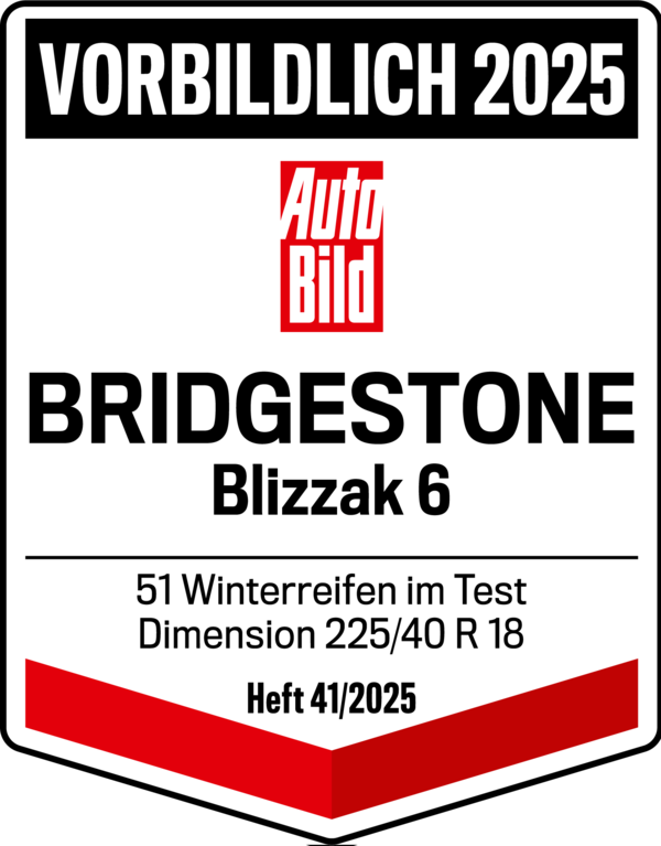 blizzak-6