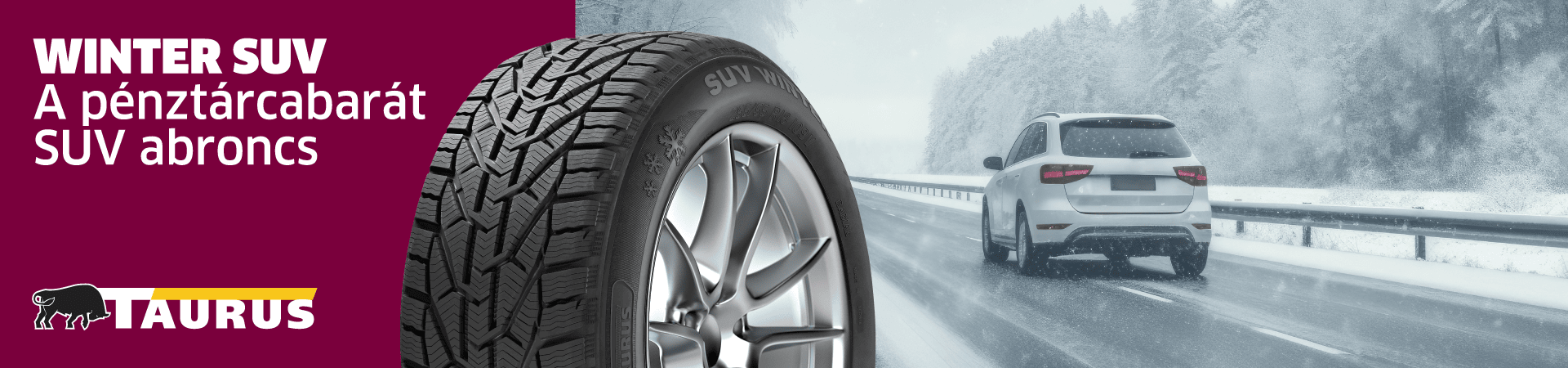 banners/home_slider_image/2023/12/tau-winter-1920x450-1-.png